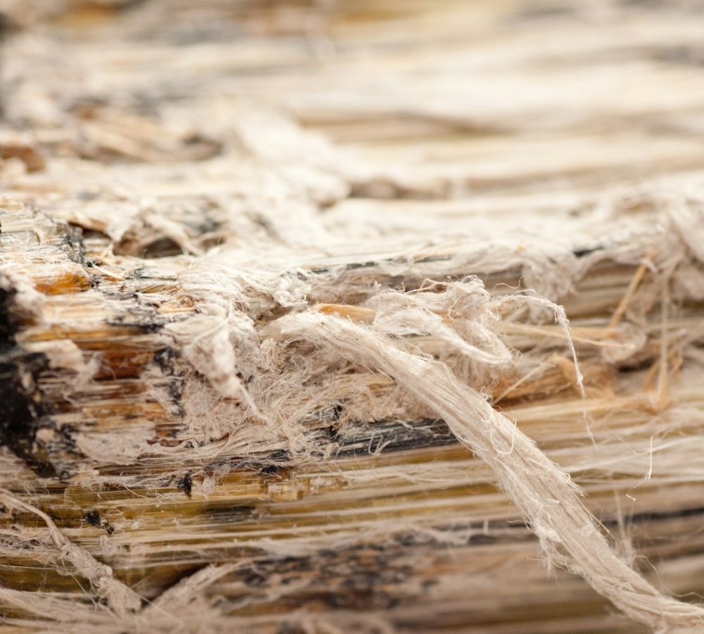 asbestos, serpentine fibers
